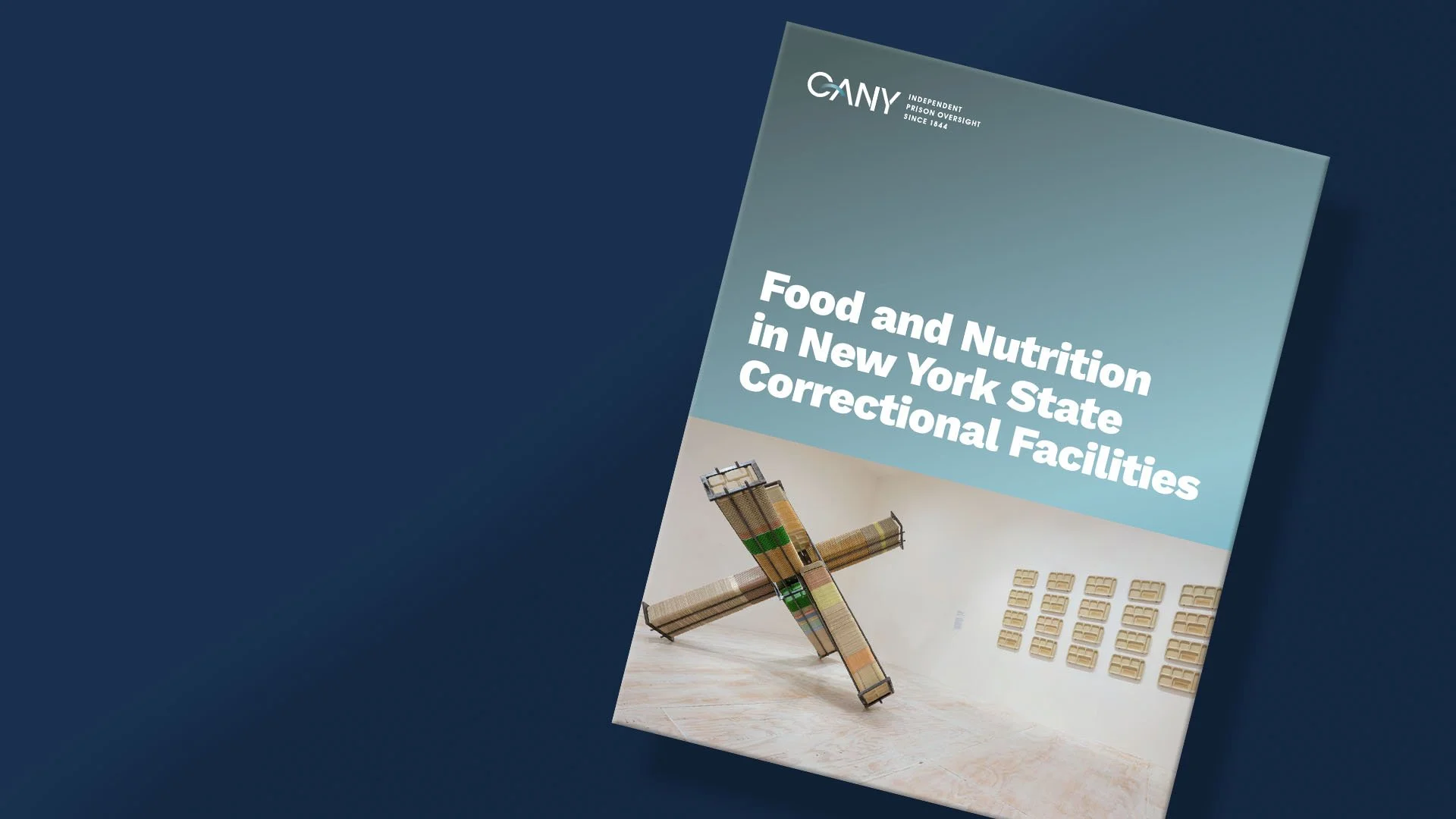 Issue Based Reports and Fact Sheets — Correctional Association of